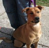 Roxy