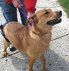 Roxy