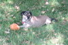 LuluBelle
