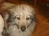 Luca