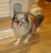 Luca