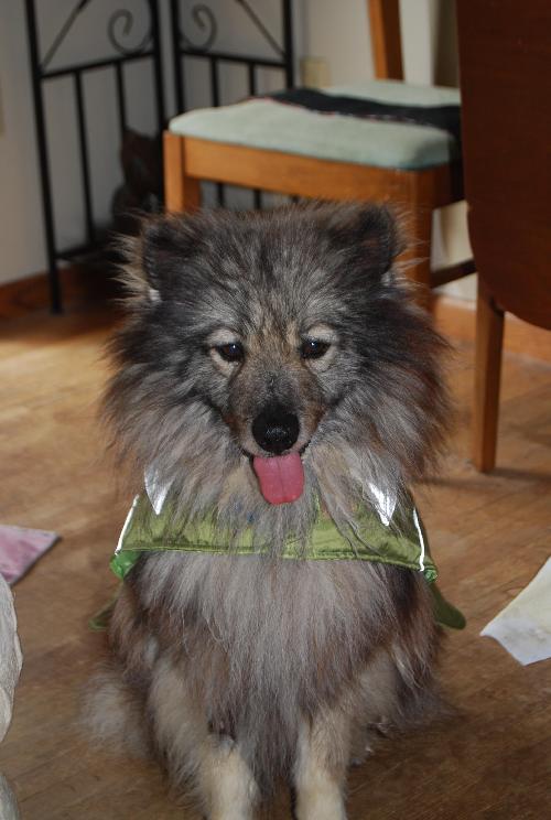 Luca