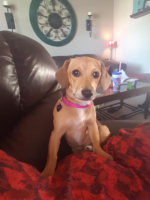 Riley