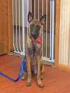 Gretta