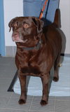 Arlo- FOSTER ME!