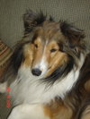 Mickey