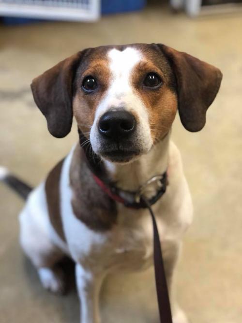 Sheryl