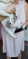 Solita