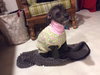 Gretta