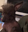 Mohawk