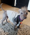 Mohawk