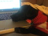 Bobie Pup