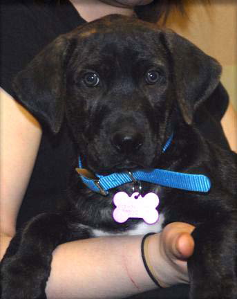 Tupper