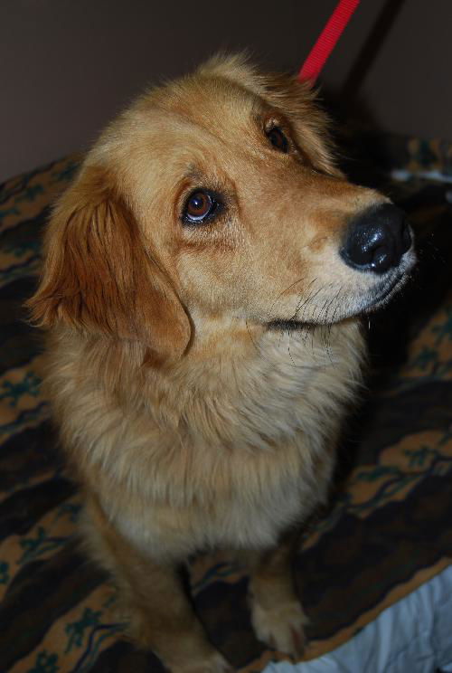 Baxter