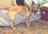Lola