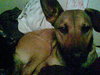 Lola