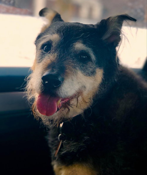 Rori
