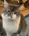 Tully