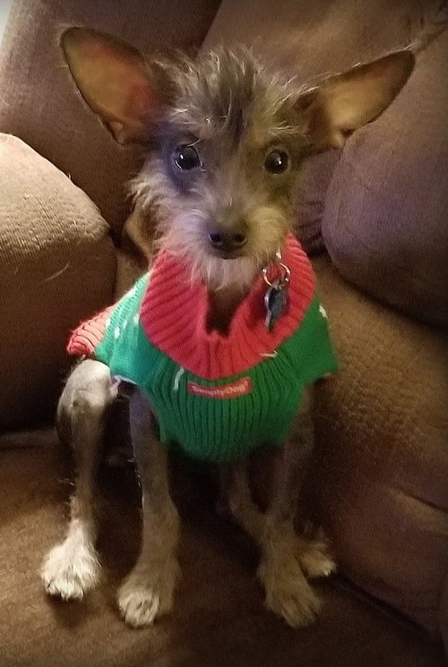 Rosita