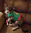 Rosita