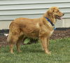 Franklin