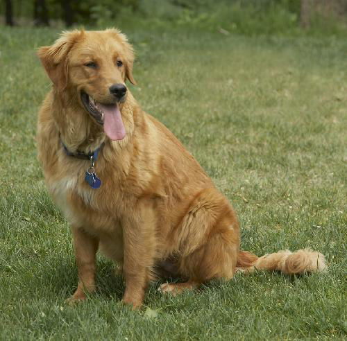 Franklin
