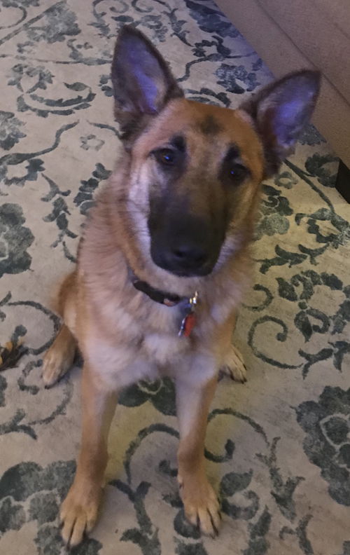 Delilah