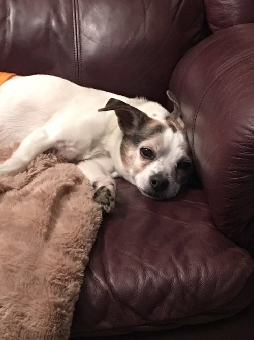 Spud Senior