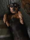 Rondo