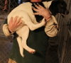 Smudge Puppy