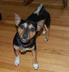 Max