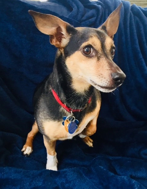 Max
