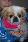 Frannie