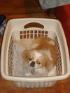 Frannie
