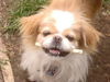Frannie