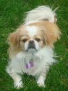 Frannie