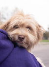 Keegan Pup FA