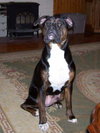 Roxie