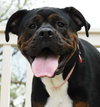 Roxie
