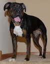 Roxie