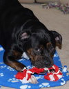 Roxie