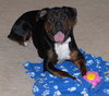 Roxie