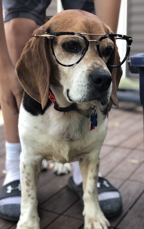 Elton