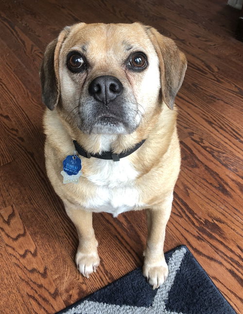 Frank
