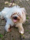 MaryAnn