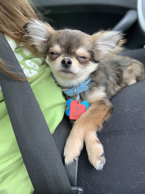 George