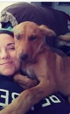 Keeley Puppy - Vacation Foster Needed 6/20-24!!
