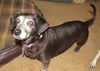 Gladys