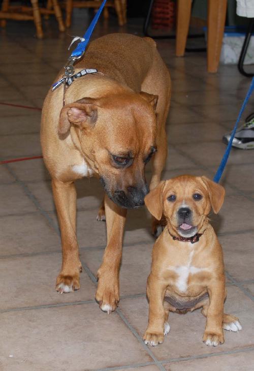Sissy and Lucie