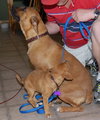 Sissy and Lucie